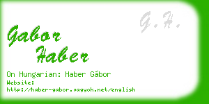 gabor haber business card